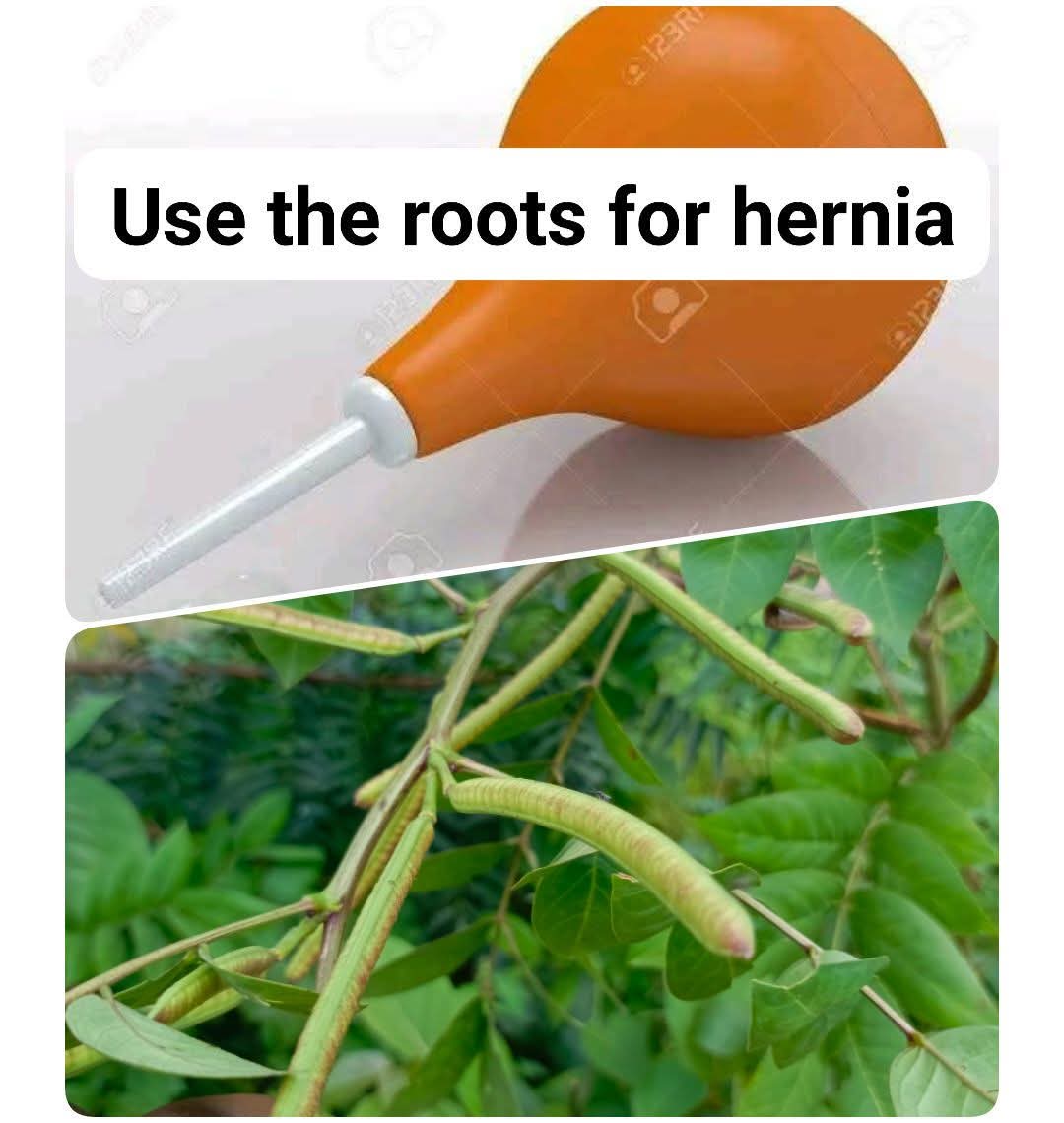 ClipStreamHQ tweet media