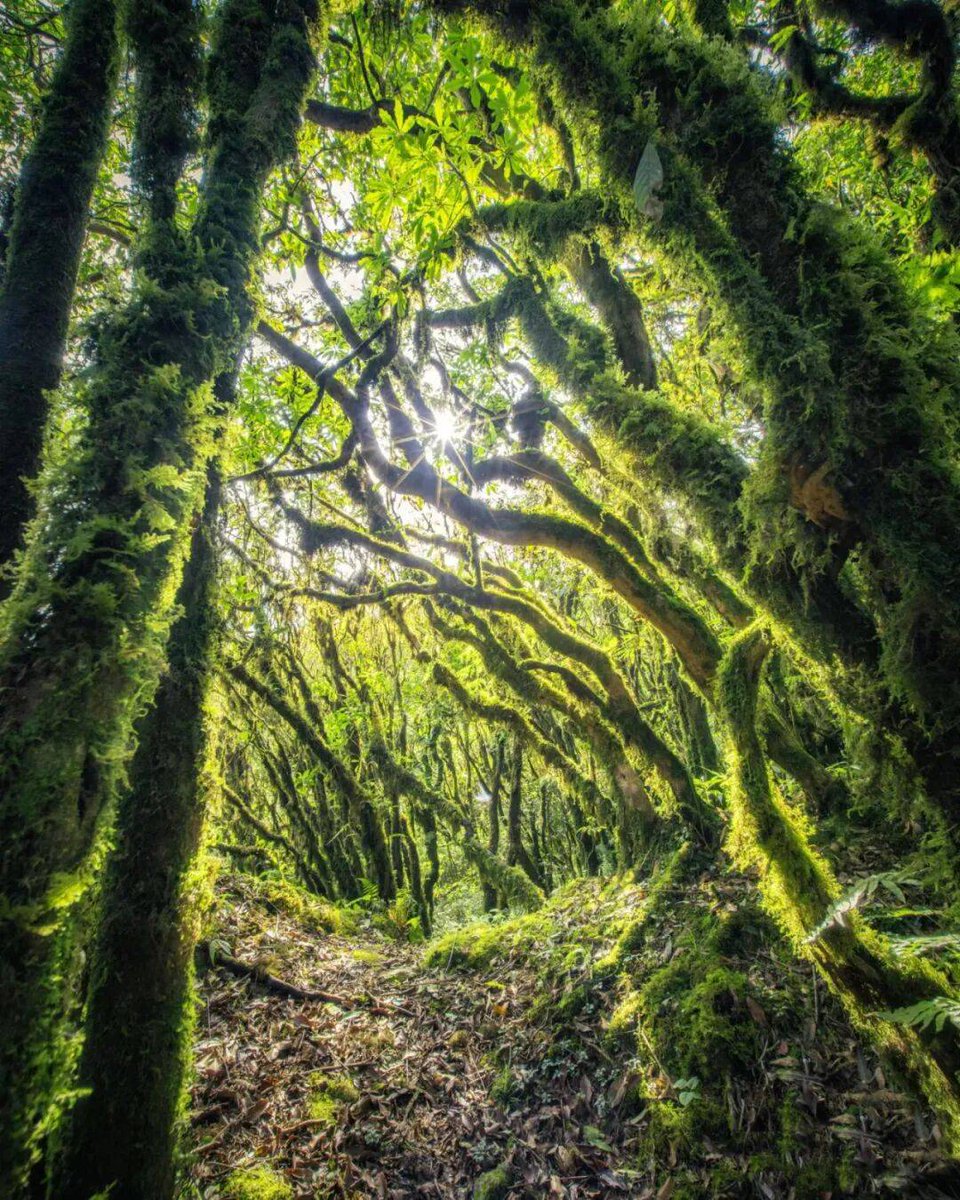 CSellars tweet media