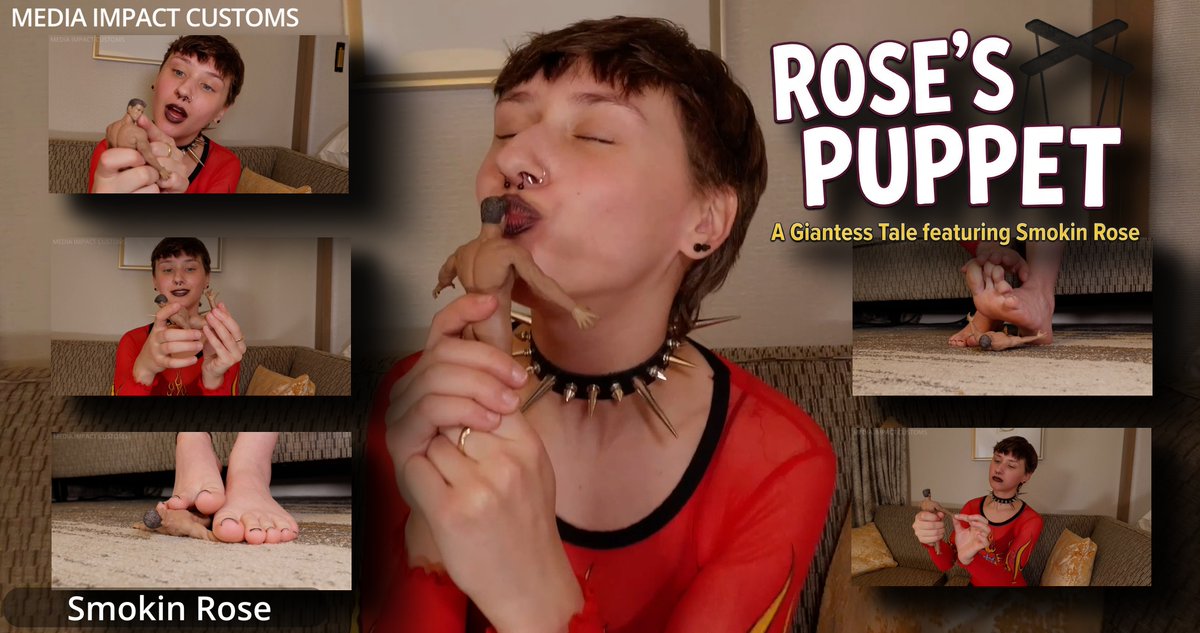 Media Impact Customs tweet media