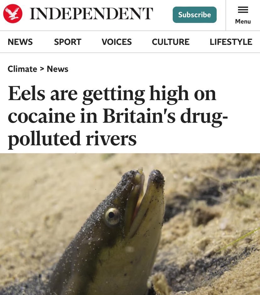 No Context Brits tweet media