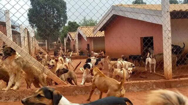 Ongarcadafe tweet media