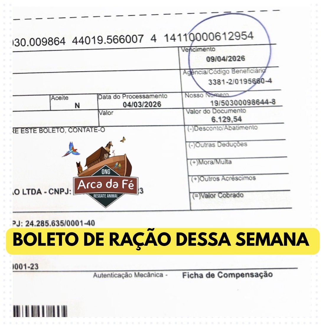 Ongarcadafe tweet media