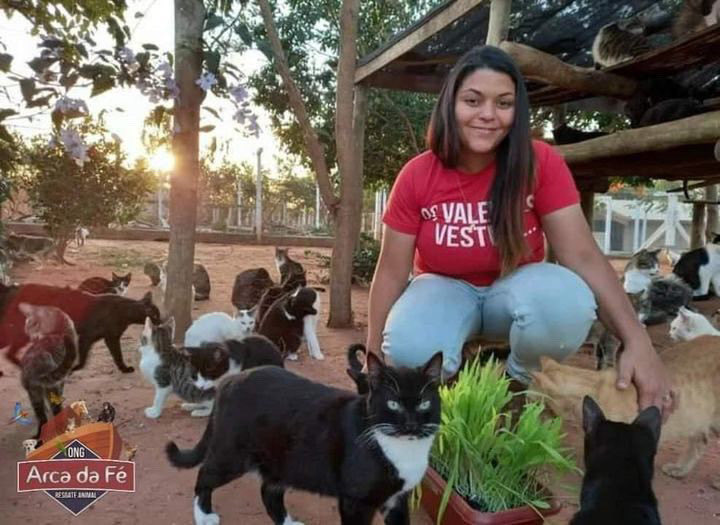 Ongarcadafe tweet media