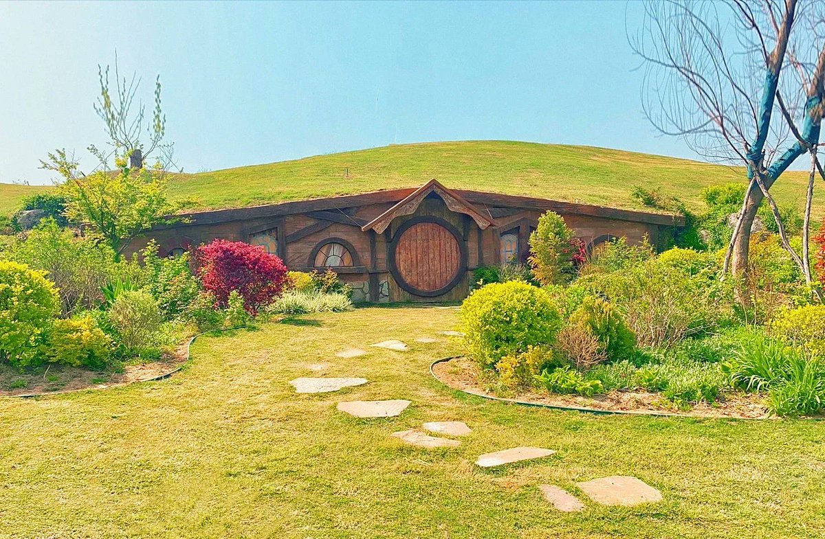 Majo Navarro tweet media