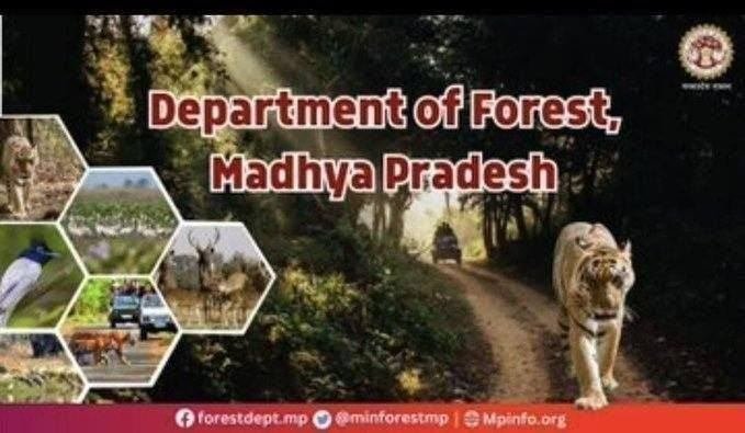 Department of Forest, MP tweet media