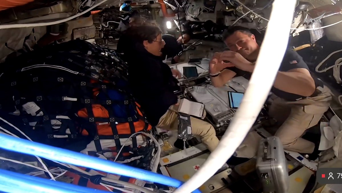 Кукуруза как у томакруза 🌽 tweet media