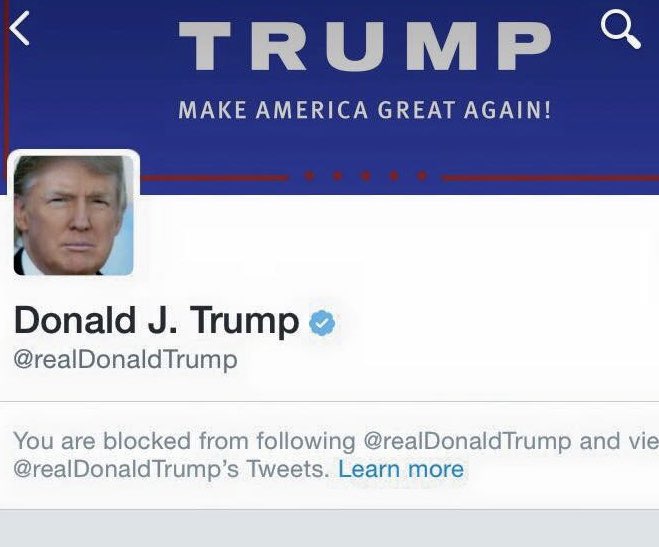 Tara Dublin, Rock Star Author & Political Savant tweet media