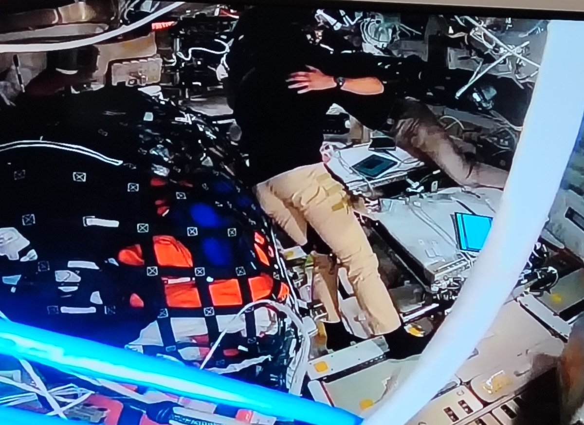 palomadelrioTV tweet media