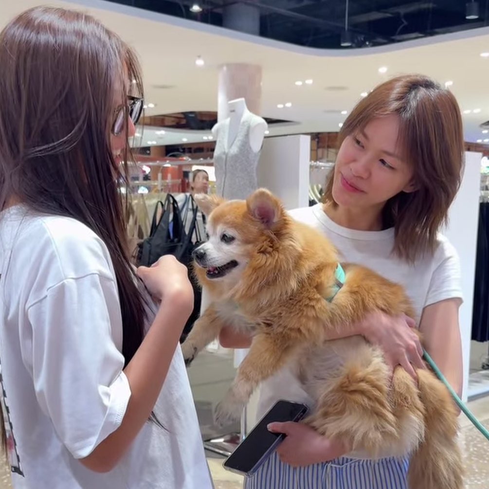 𝐂𝐲𝐩𝐡𝐞𝐫 tweet media