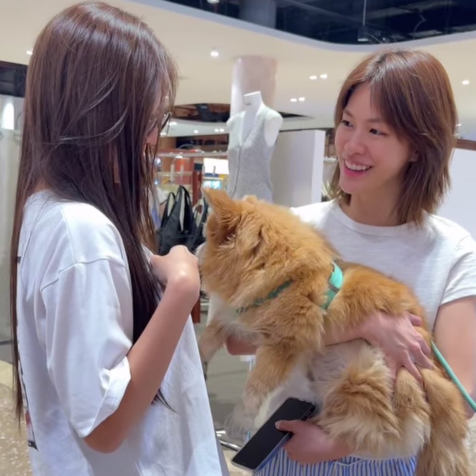 𝐂𝐲𝐩𝐡𝐞𝐫 tweet media