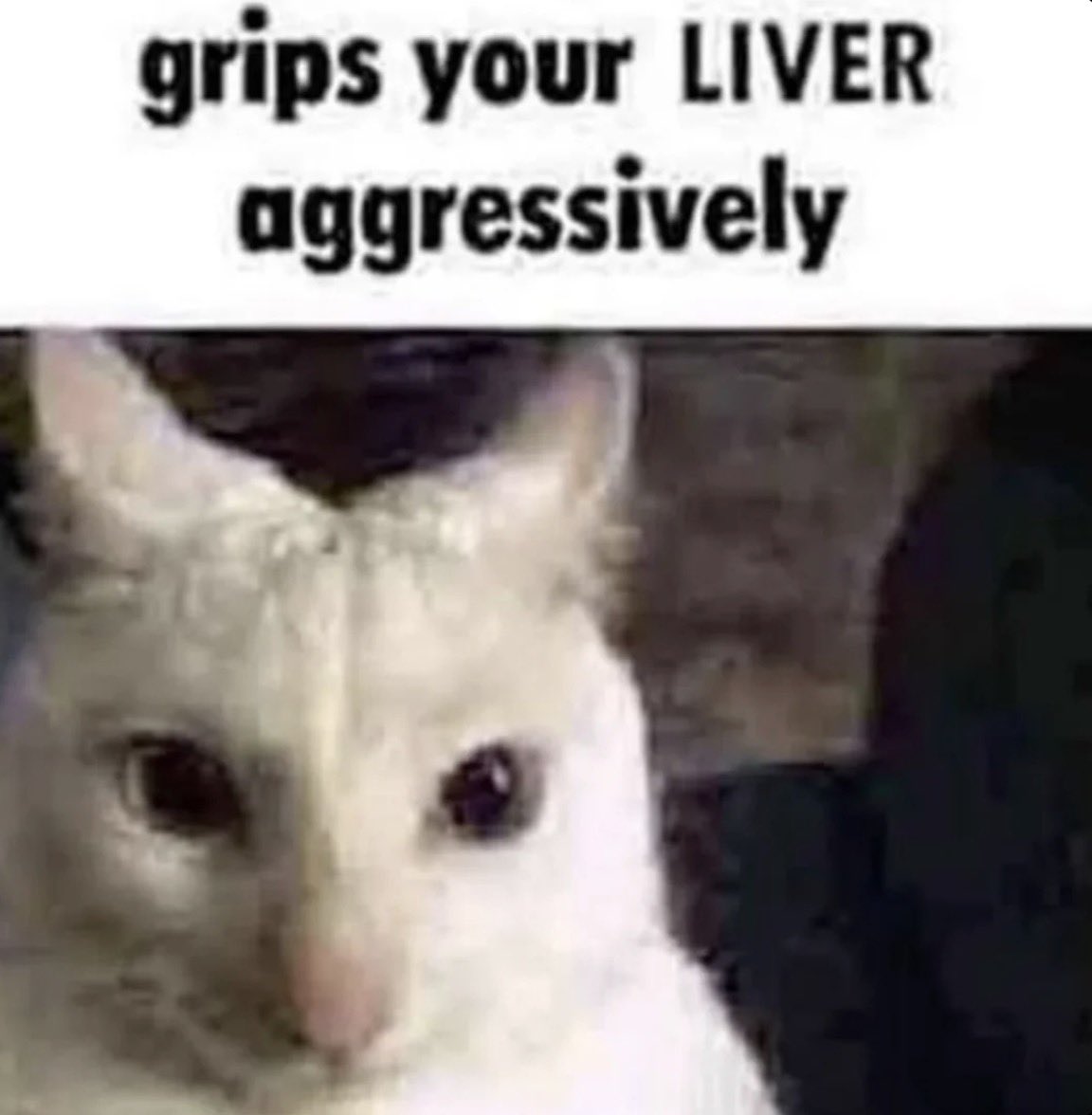 Kit Katora | VTuber | Bartender | 🦊 Fox 🦊 tweet media