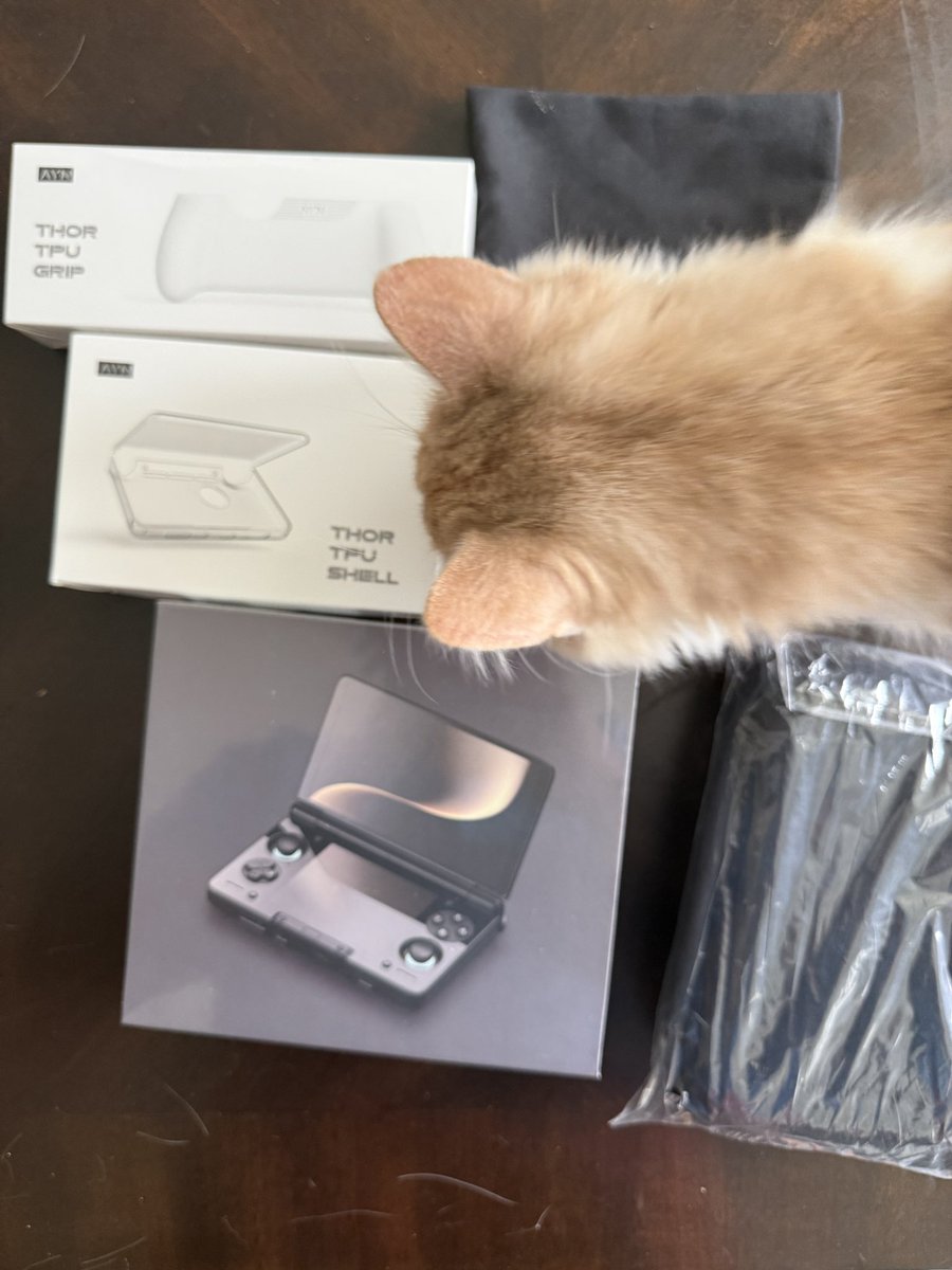 Mightykeef tweet media