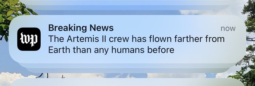 Kate Martin tweet media