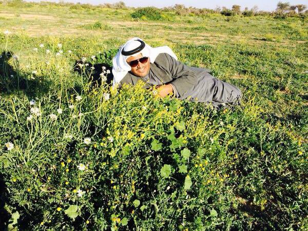 Ab 🇰🇼 tweet media