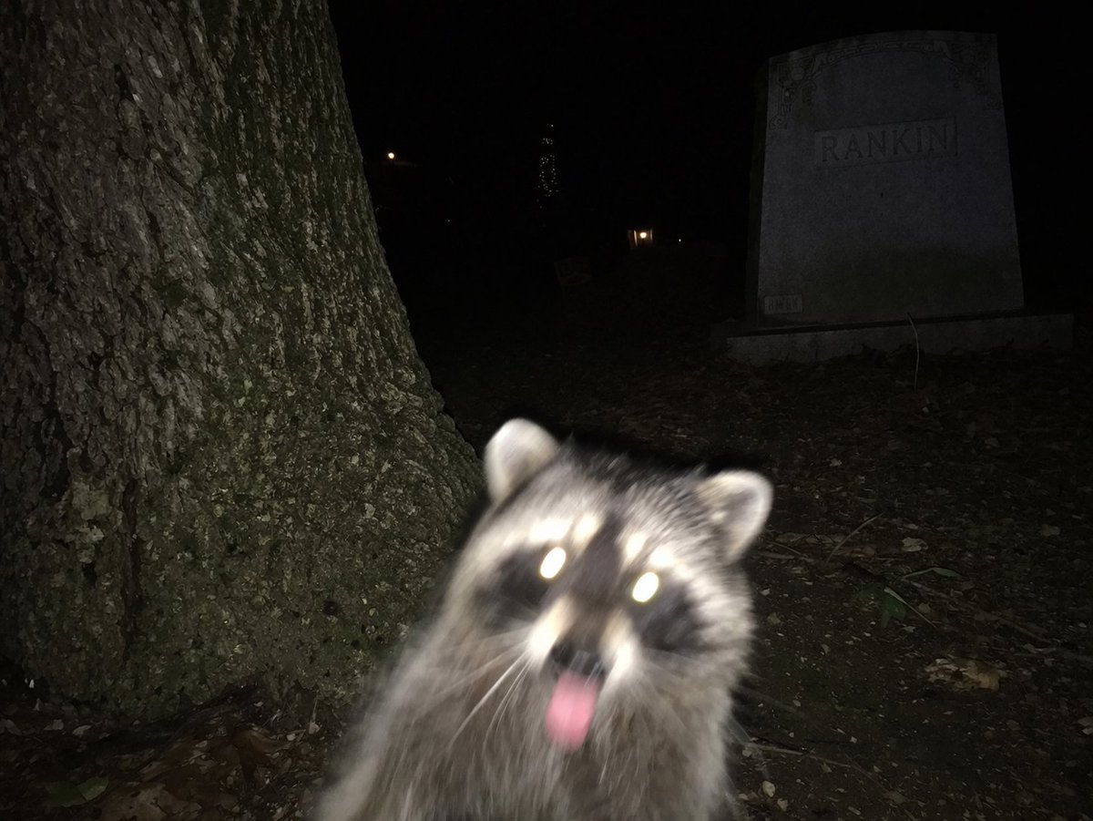 Aagastya_Thaker tweet media