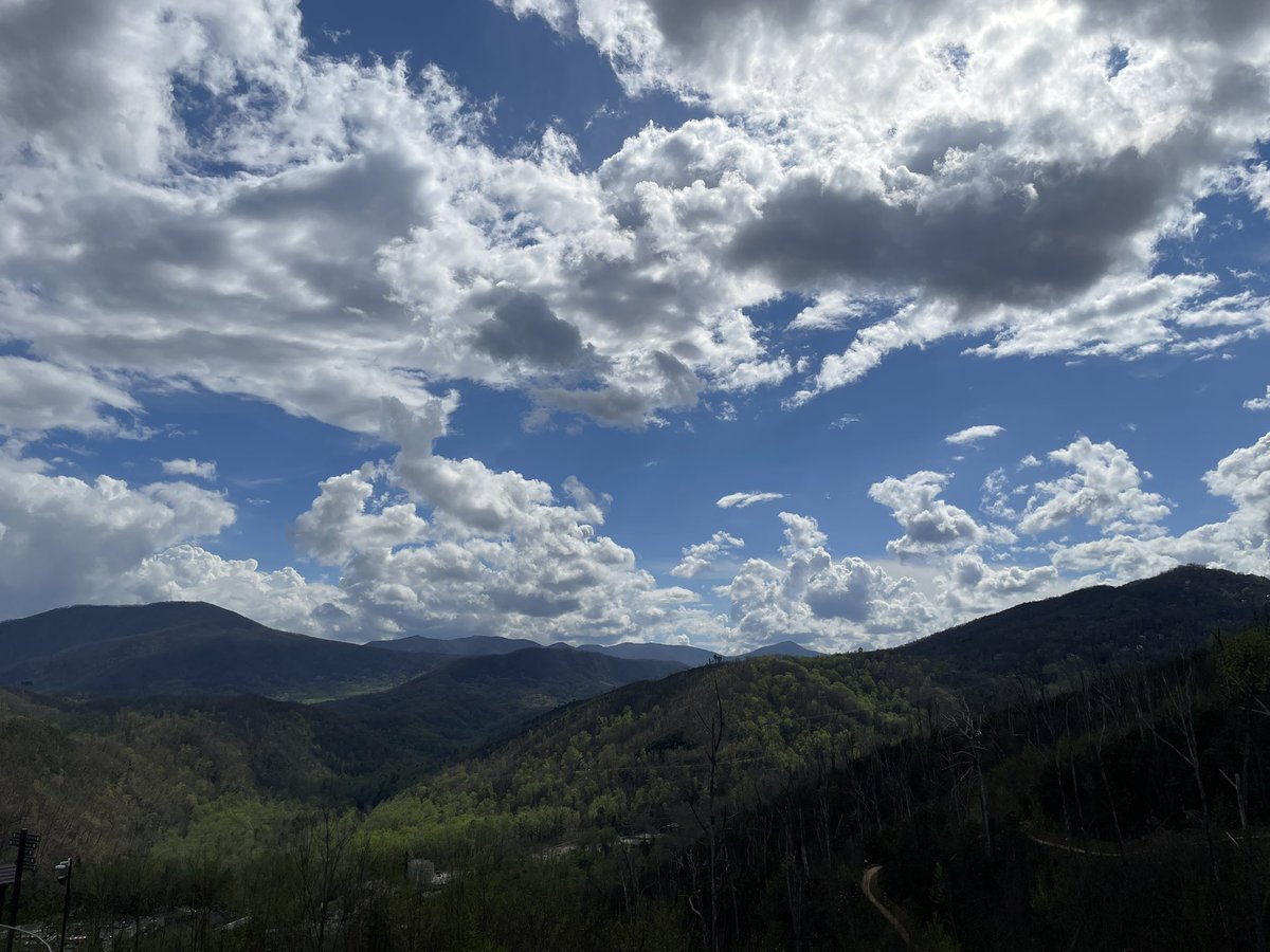 Whack 🤌🏼 tweet media