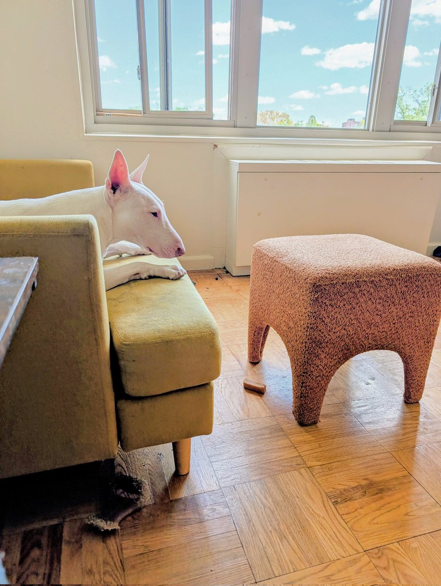 Goofy Foot 📏🌱♠️🕉❤️‍🩹🫟➕🐶 tweet media