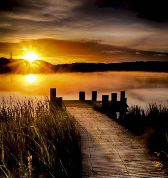 Javier Resa | #CadaPaliativistaUnActivista tweet media