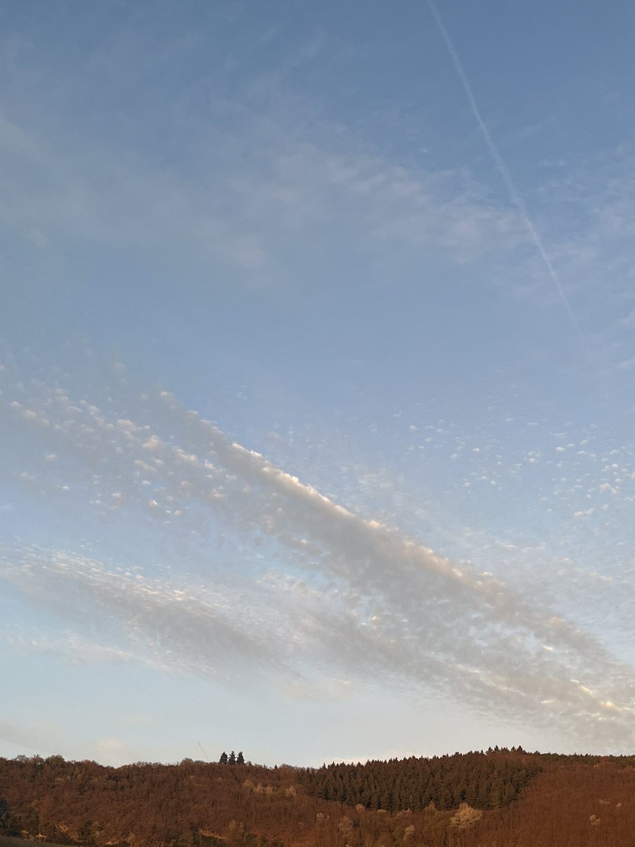 Klar Name tweet media