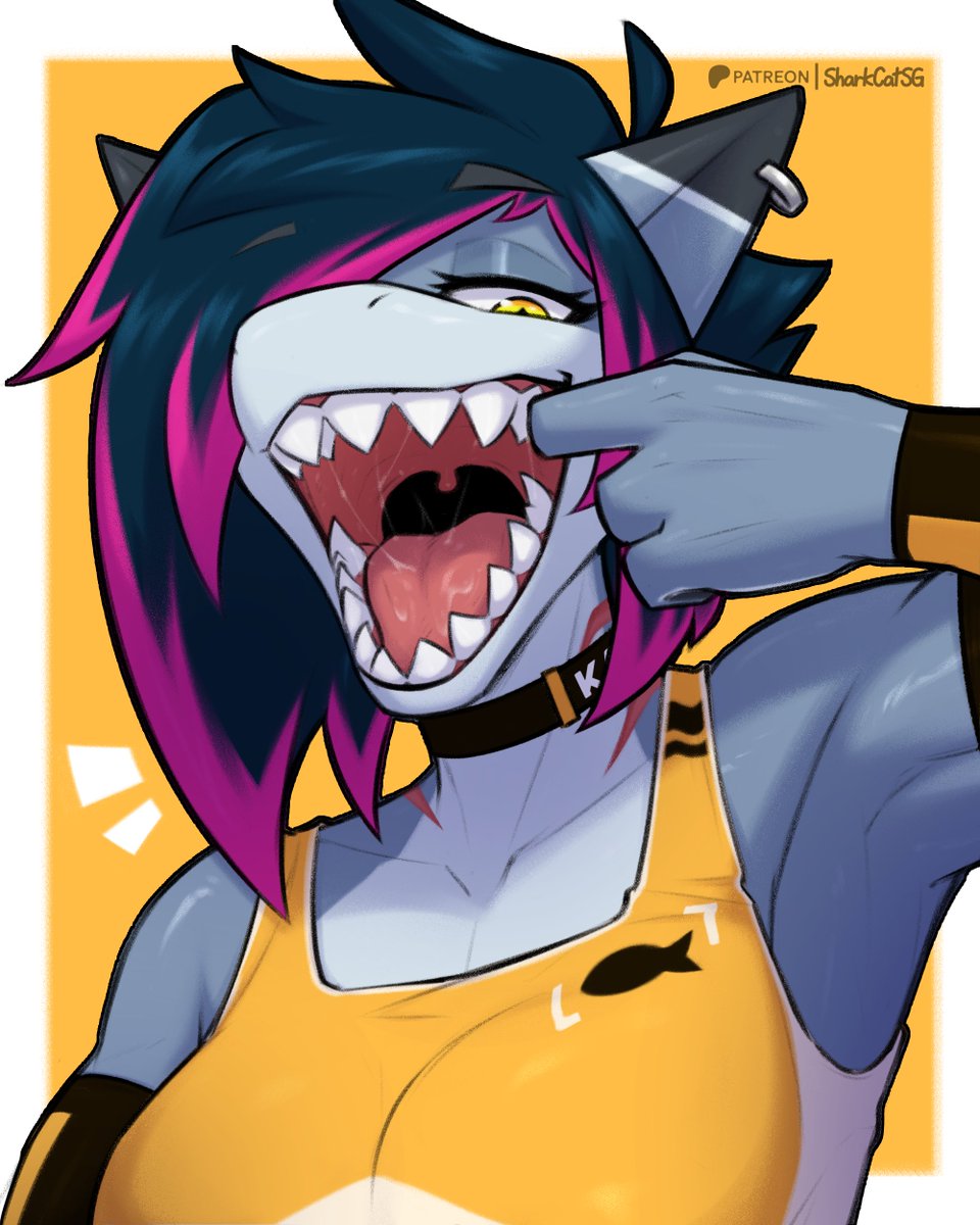 SharkCatSG (Comms Closed) tweet media