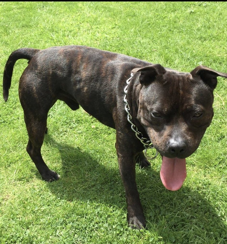 chris towers tweet media