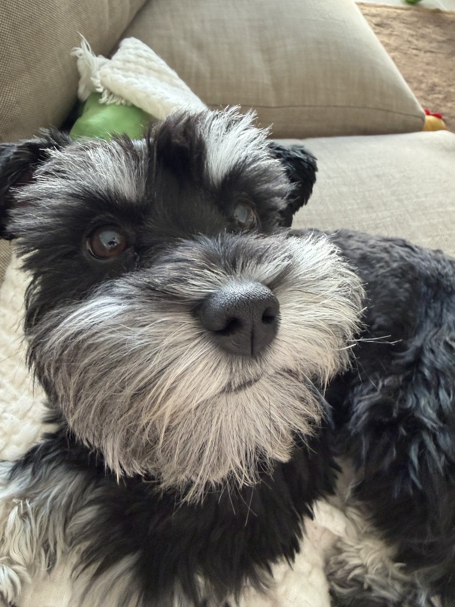 Jack “CouRage” Dunlop tweet media