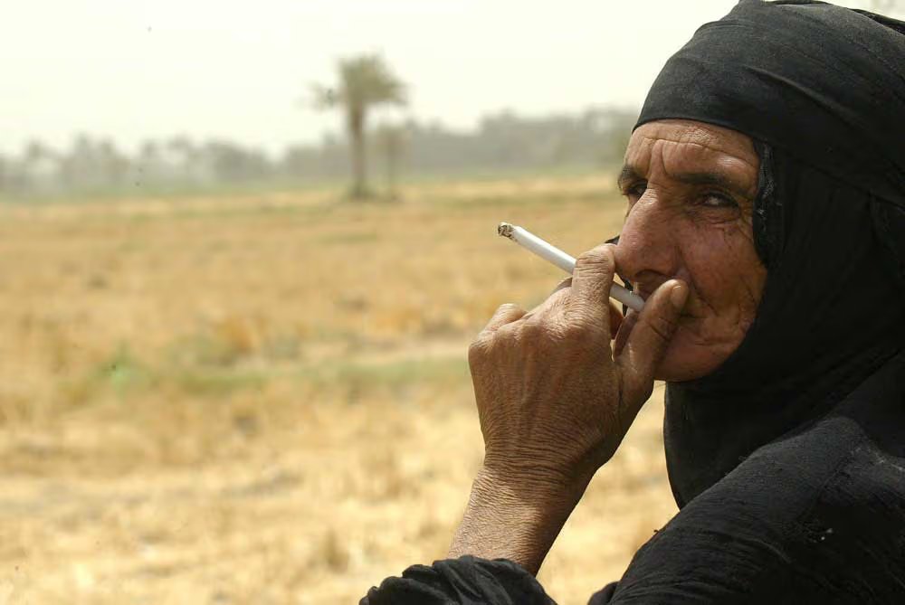 ali almzini tweet media