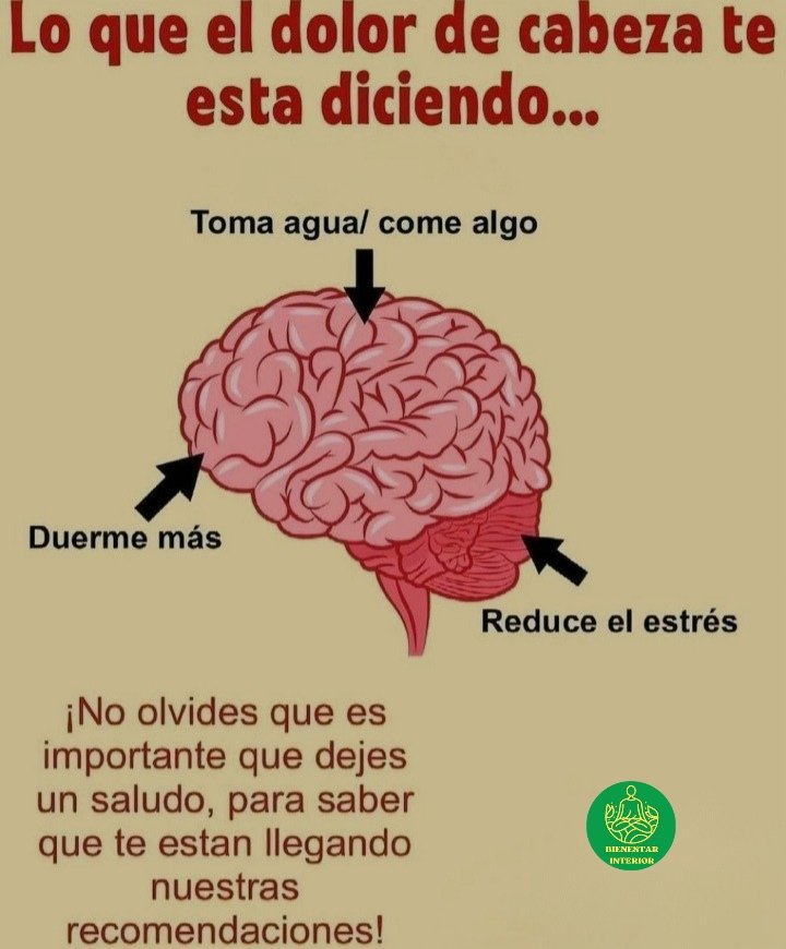 BienestarYM's tweet photo. ✨🍉🥥🌱☀️Tip Salud☀️🌱🥥🍉

✨🧠DOLOR DE CABEZA🧠✨

🌟Dime: "Gracias" si te gustó🌟 https://t.co/vxzobNJWCW