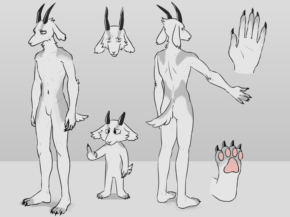 TheSillyGoat tweet media