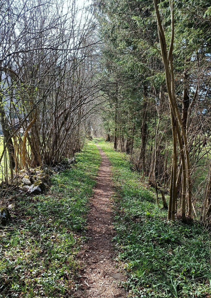 Naughty & polite 🌻 tweet media