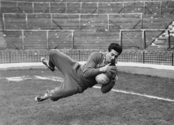 GoaliesAreDifferent tweet media