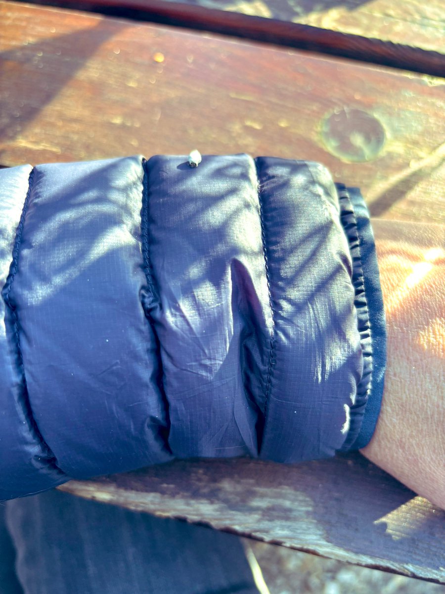 Johanna Sprondel tweet media