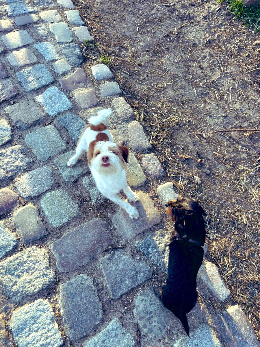 Johanna Sprondel tweet media