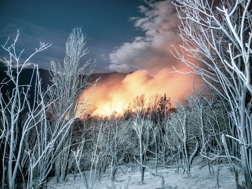 Questiona-te tweet media