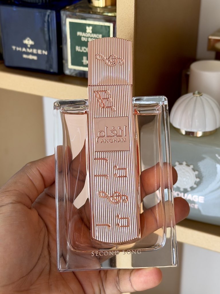 Bella Hadidn’t tweet media