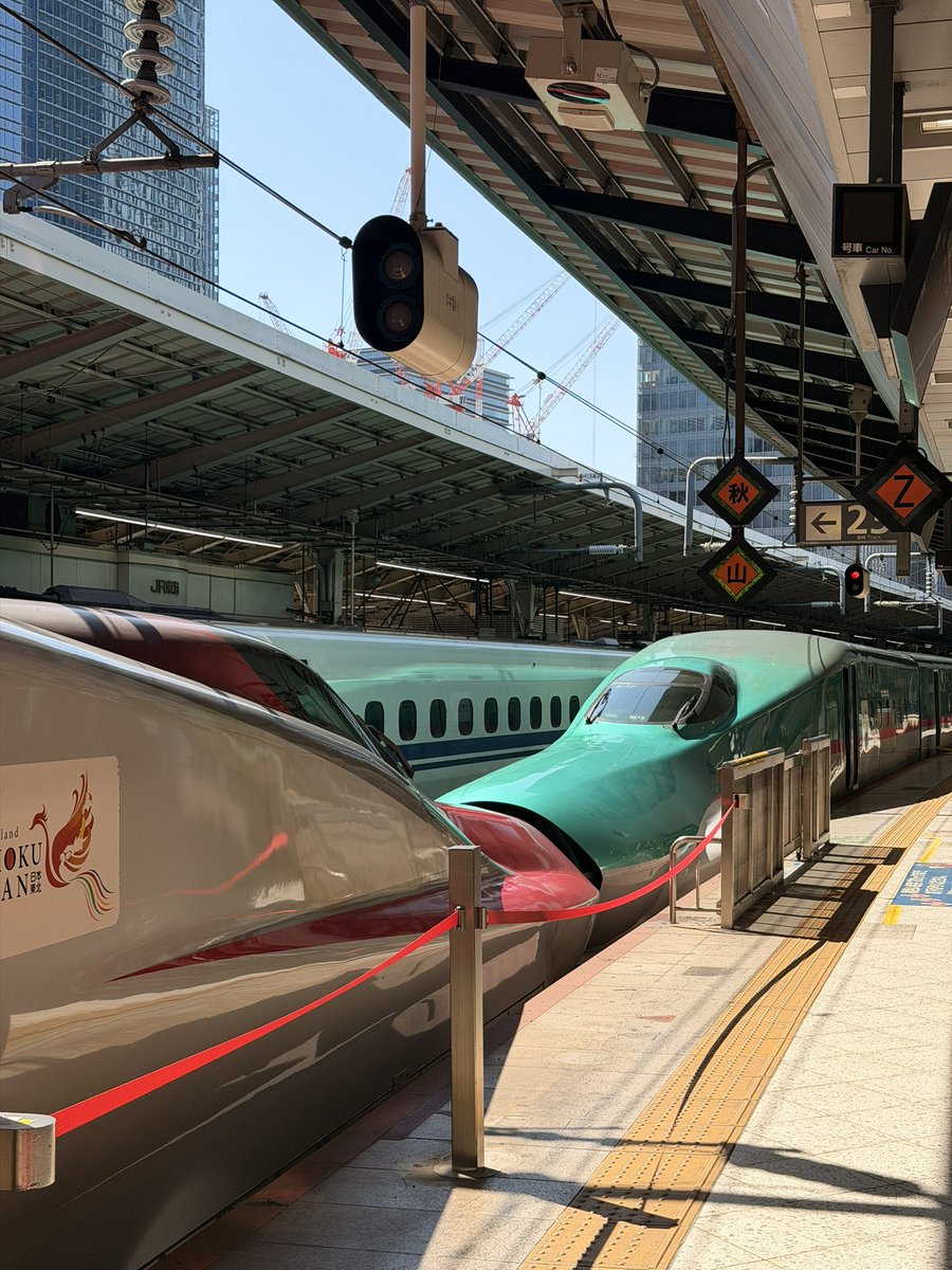 แกะน้อย 🌈 tweet media