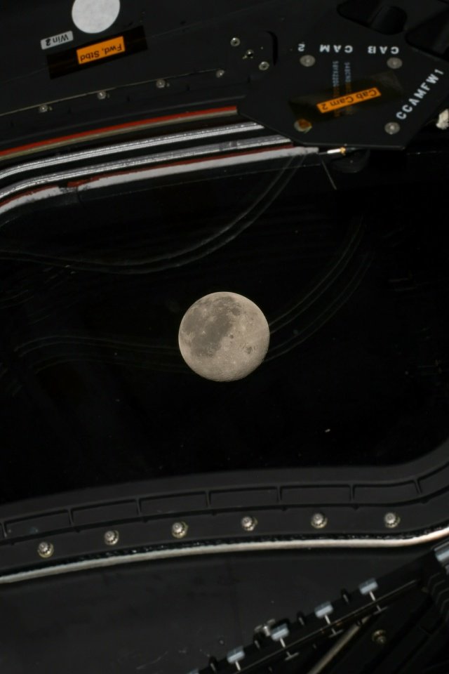 Curiosity tweet media