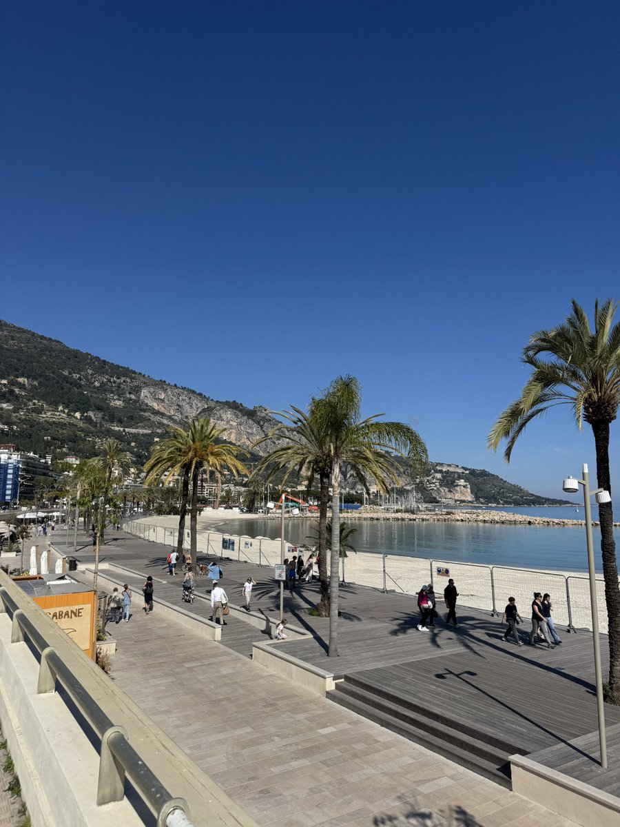 다빌슨 tweet media