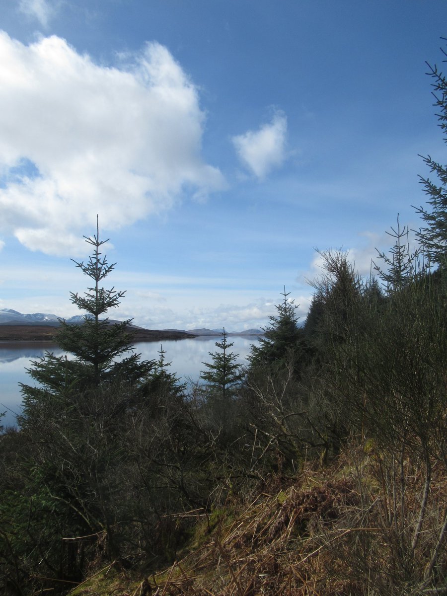 b_dmintl's tweet photo. Another cracking week in Scotland. Snow, wind, rain , sleet &amp; sun, we had it all. Plenty of fresh air, walking, relaxing &amp; visiting. Looking forward to next year already 
#holiday #scotland https://t.co/LJJzbc9UXz