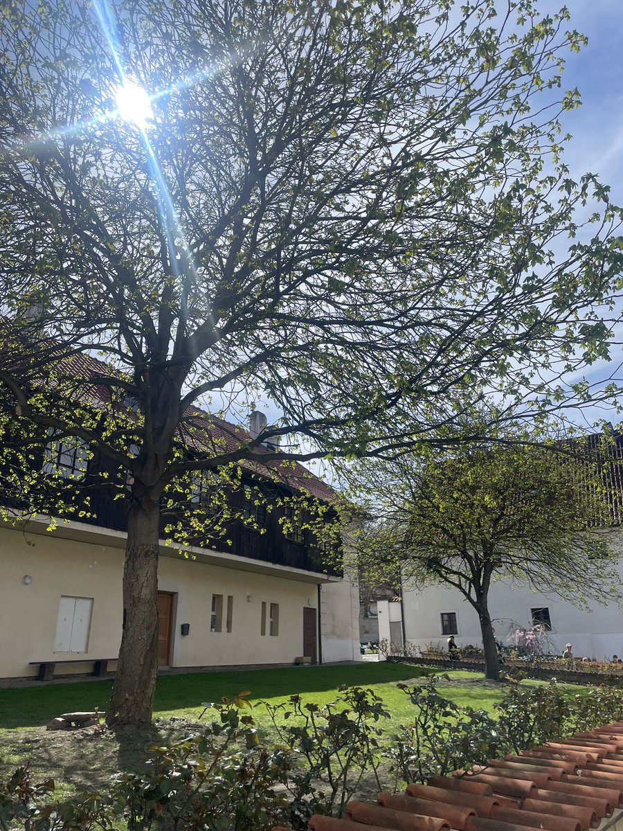 Infinity tweet media