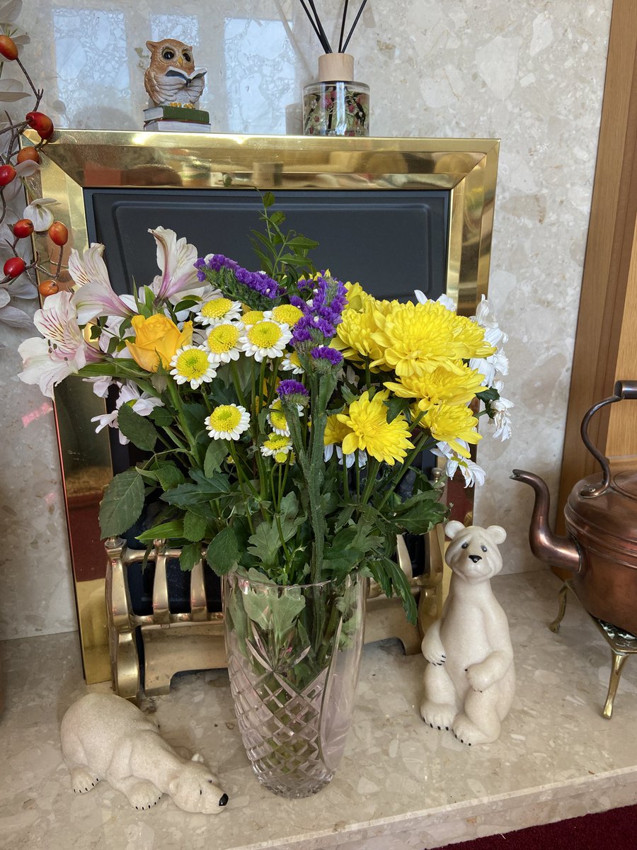 NicolaLisle1's tweet image. Lovely relaxing day doing a bit of sewing, reading one of my recent charity shop finds and enjoying these gorgeous flowers 😊📖🌼 #flowers #amreading #EasterMonday #BankHoliday