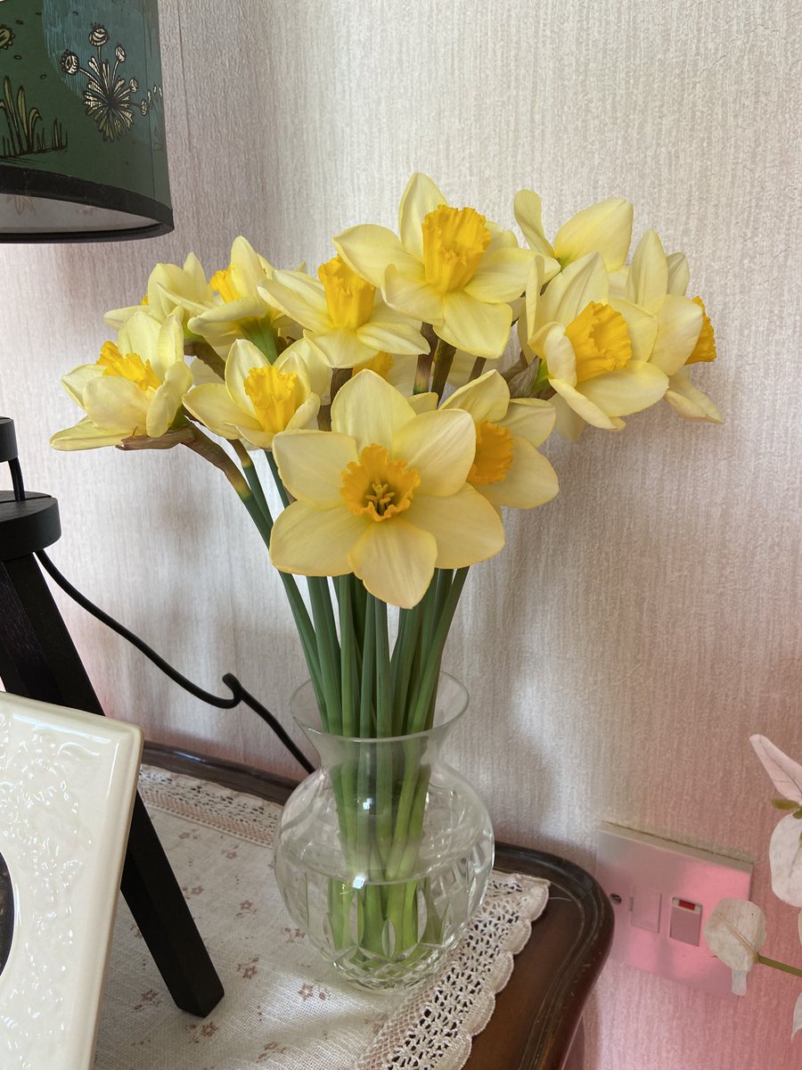 NicolaLisle1's tweet image. Lovely relaxing day doing a bit of sewing, reading one of my recent charity shop finds and enjoying these gorgeous flowers 😊📖🌼 #flowers #amreading #EasterMonday #BankHoliday