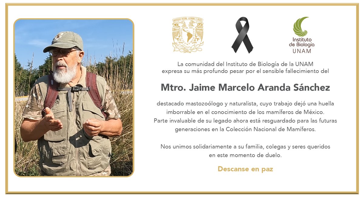 @ib_unam tweet media