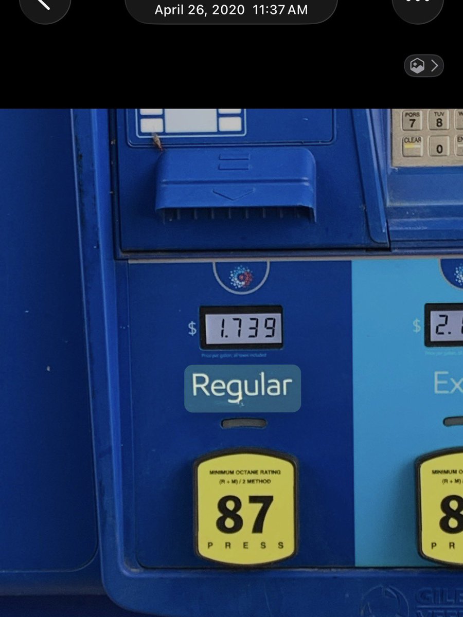 GriNgA✨ tweet media