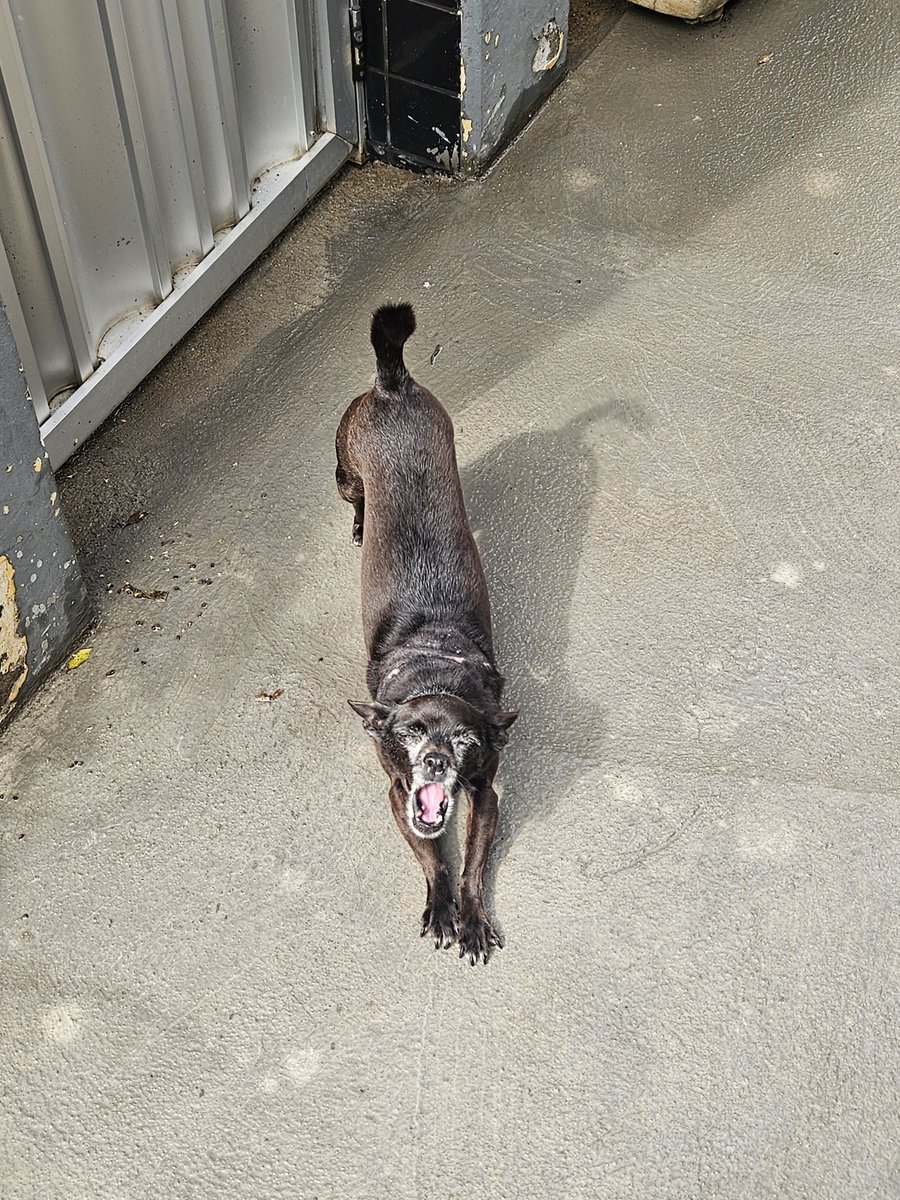 enis ⋆₍ᐢ.ˬ.ᐢ₎♡ tweet media