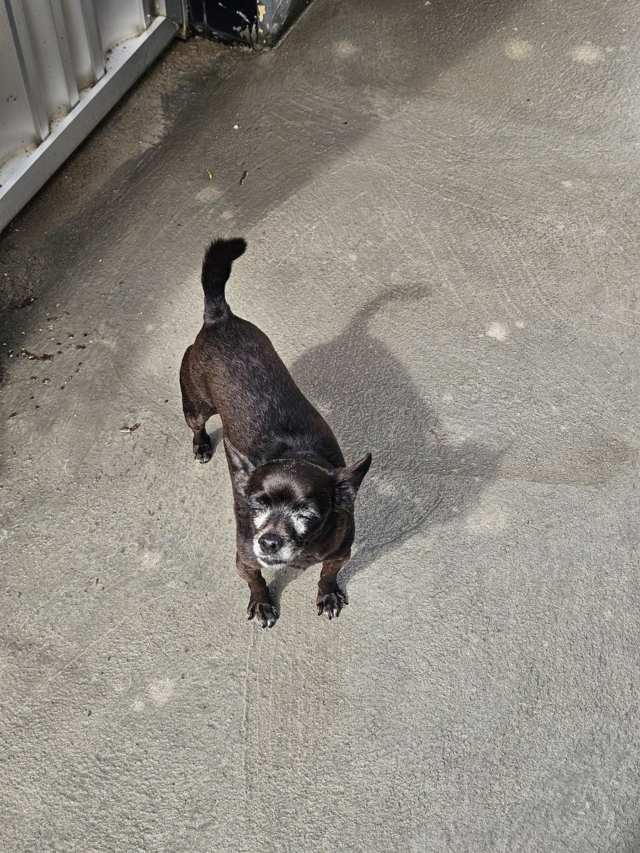 enis ⋆₍ᐢ.ˬ.ᐢ₎♡ tweet media