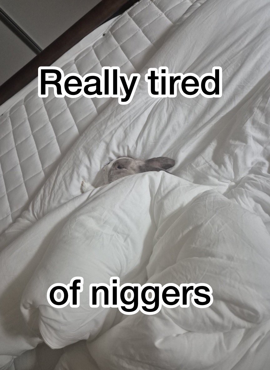 Ｂｕｎｎｙｍａｘｘｅｒ tweet media