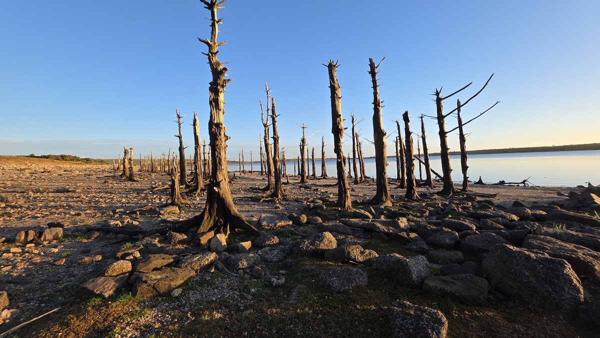 Dan Almond tweet media