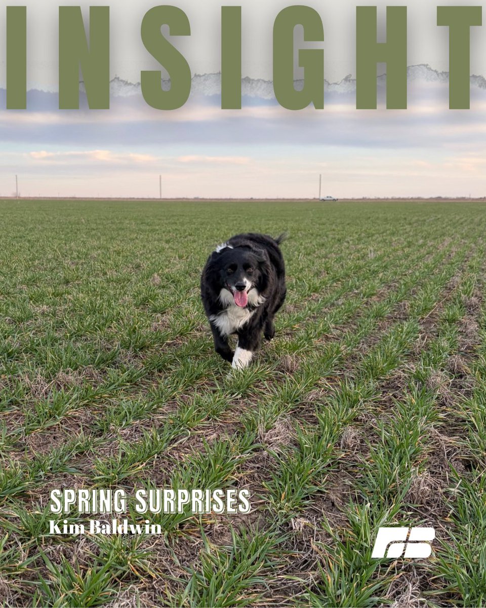 Kansas Farm Bureau (@KSFarmBureau) / Posts / X