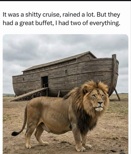 Volcaholic 🌋 tweet media